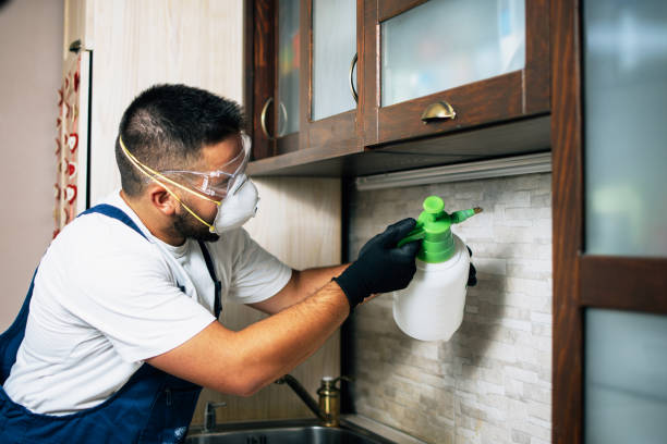 Best Pest Prevention Services  in Bellaire, OH