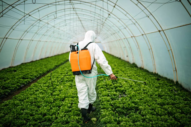 Best Pest Inspection Near Me  in Bellaire, OH