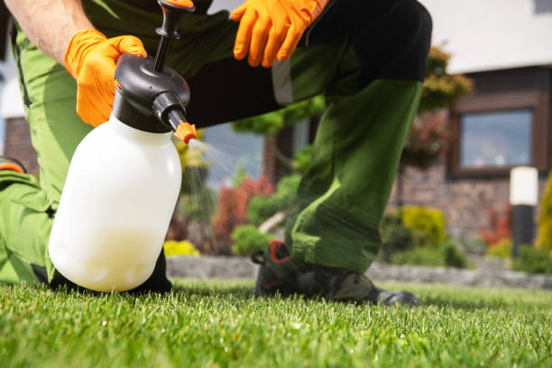 Best Local Pest Control Services  in Bellaire, OH