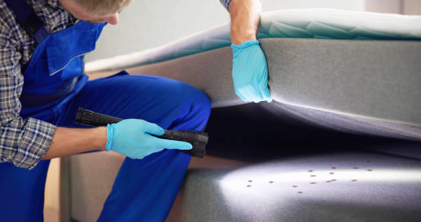 Best Mosquito Control Services  in Bellaire, OH