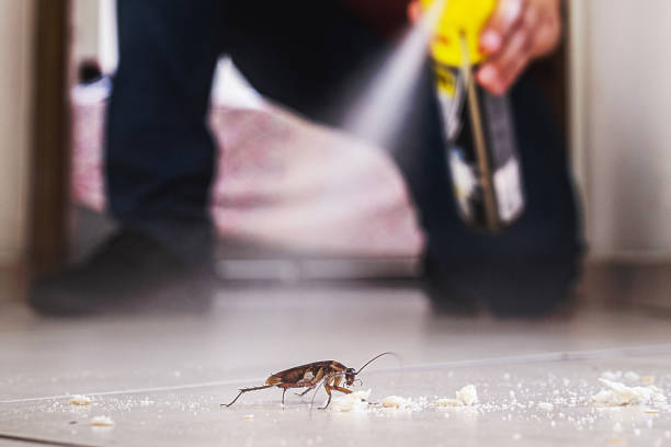 Bellaire, OH Pest Control Company
