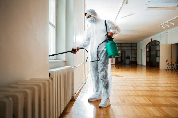 Best Cockroach Control Services  in Bellaire, OH